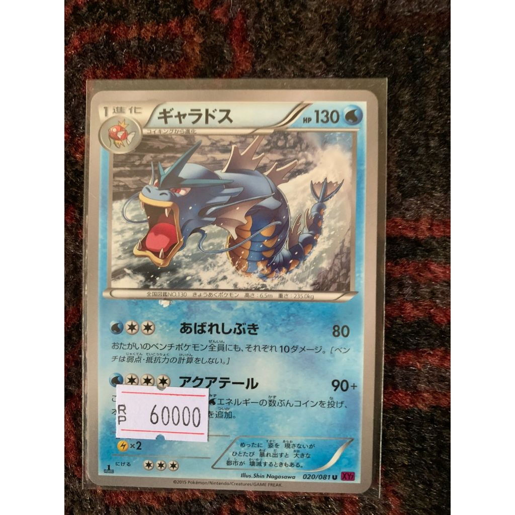 Gyarados Pokemon Japanese