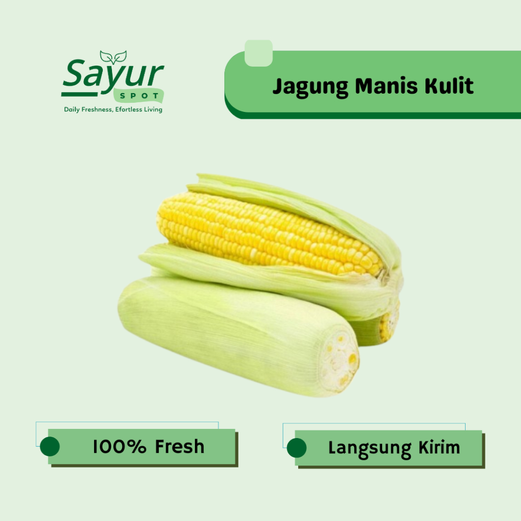 Jagung Manis Kulit Segar / Sayur Bekasi | Sayur Spot Bekasi