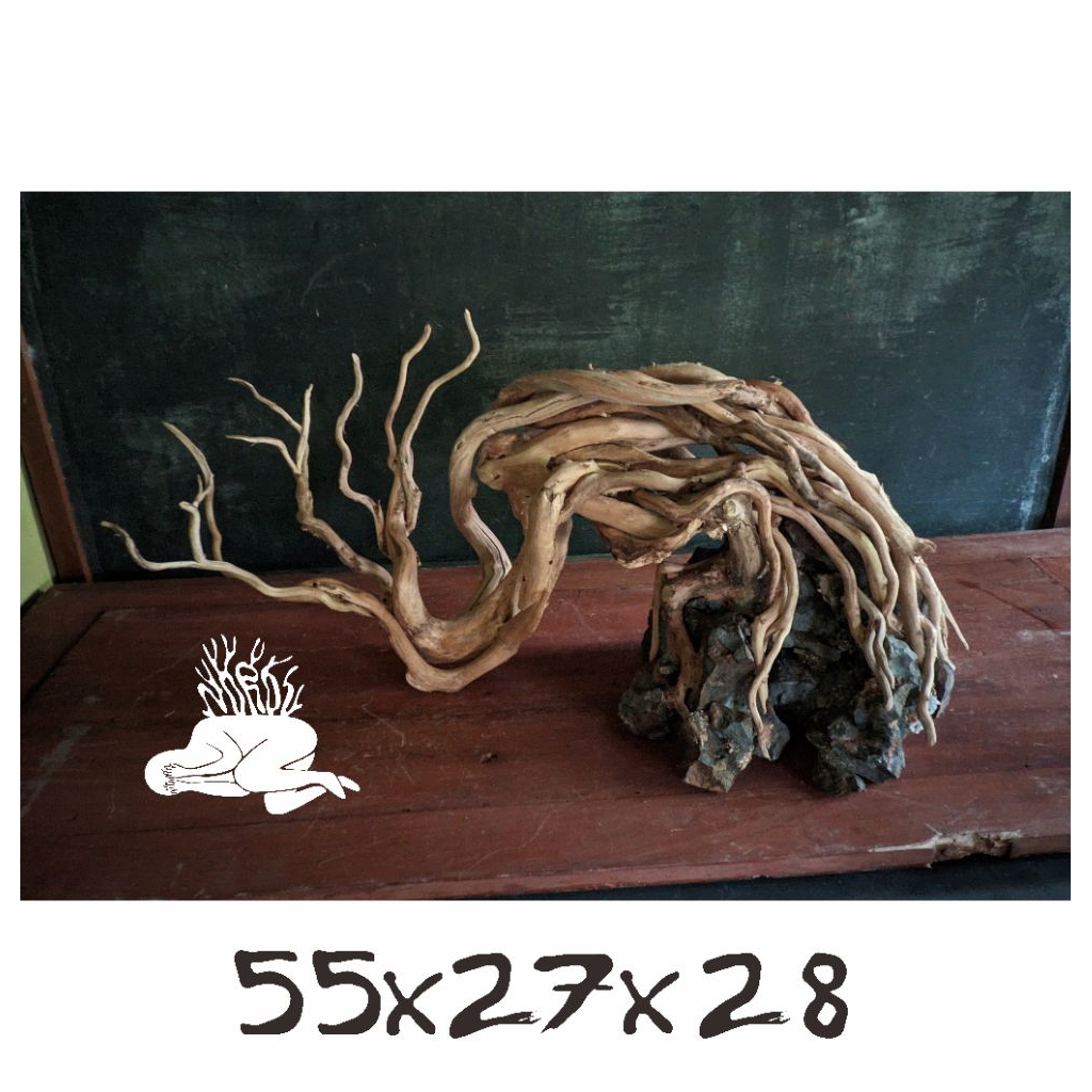 hardscape aquascape kayu tenggelam