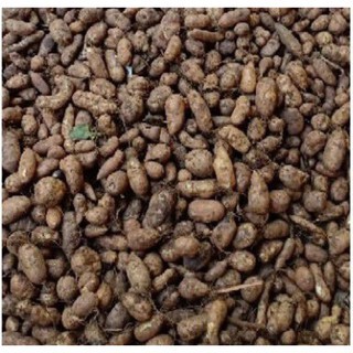 Kentang hitam / Kentang kleci 500gram