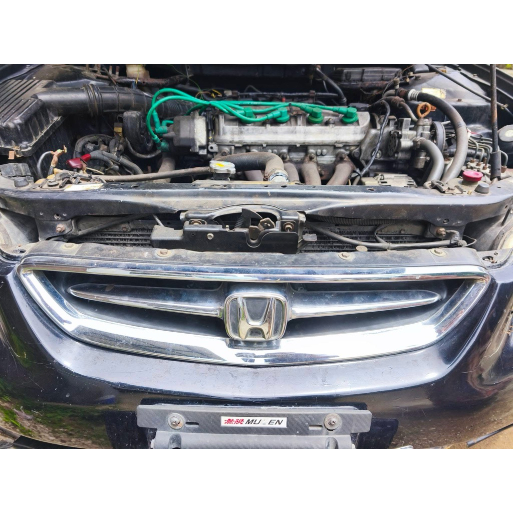 Grill Accord S86 VTIL EXI 98-2003 Original