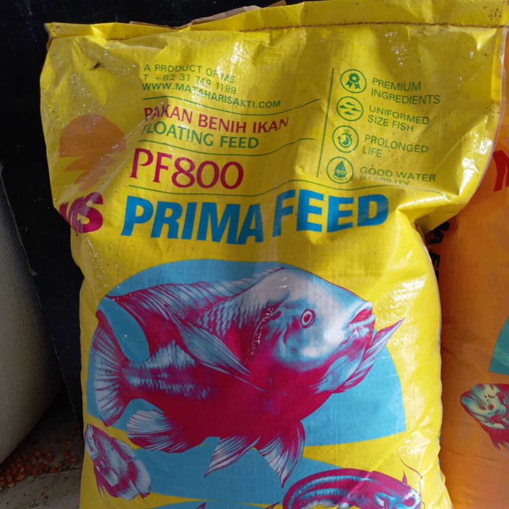 PF 800