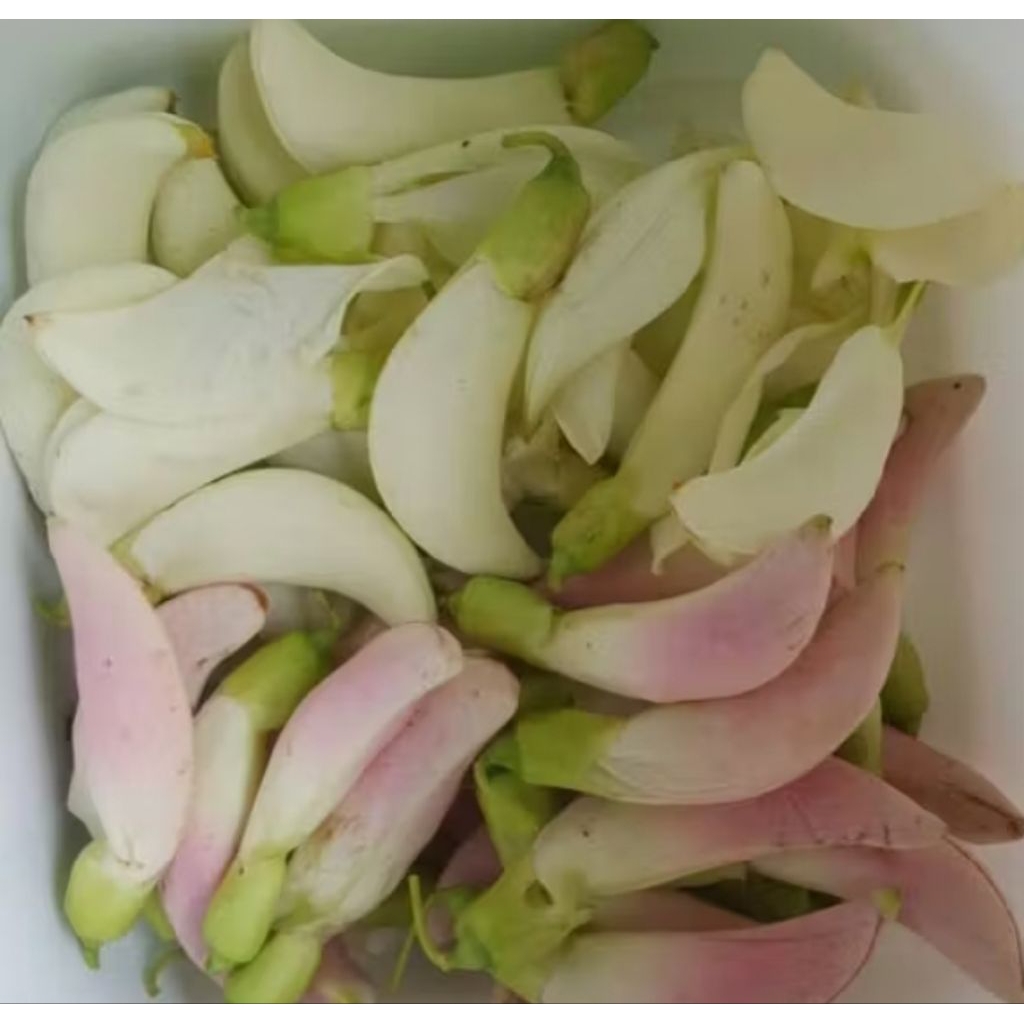 kembang turi segar pasar murah samarinda