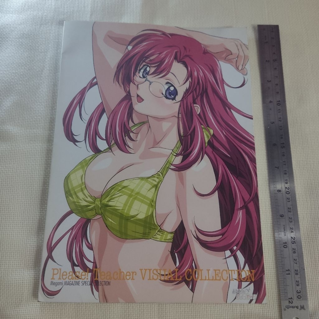 IMPORT onegai teacher please teacher visual collection megami magazine special selection gakken artb