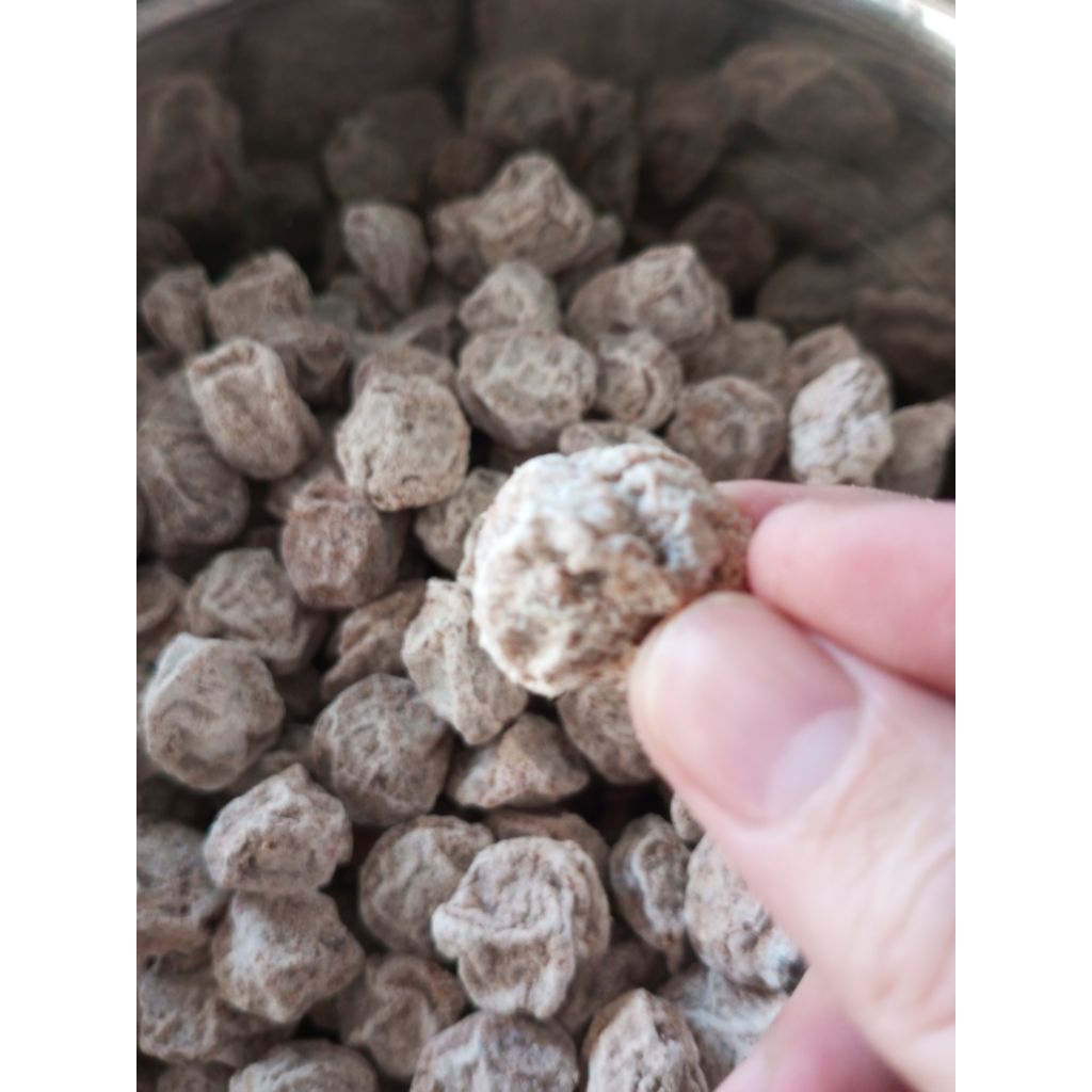 Plum Putih/Kiamboi/Kiamboy Putih Asem Manis - Manisan Buah Plum Segar enak dimakan