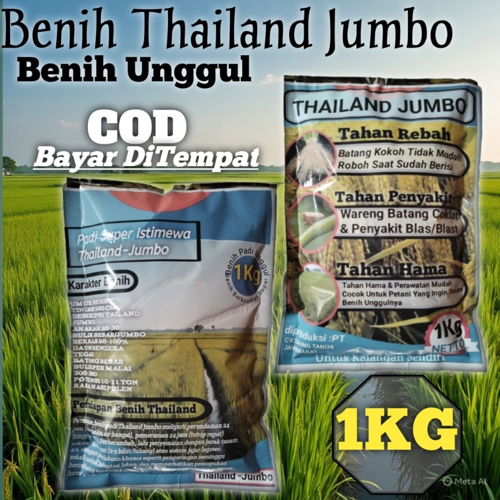 Benih Padi THAILAND JUMBO  1 kg - Bibit Padi THAILAND JUMBO Kualitas Premium original kemasan Pabrik