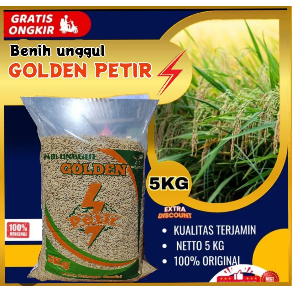 BENIH PADI UNGGUL TERBARU GOLDEN PETIR 5KG
