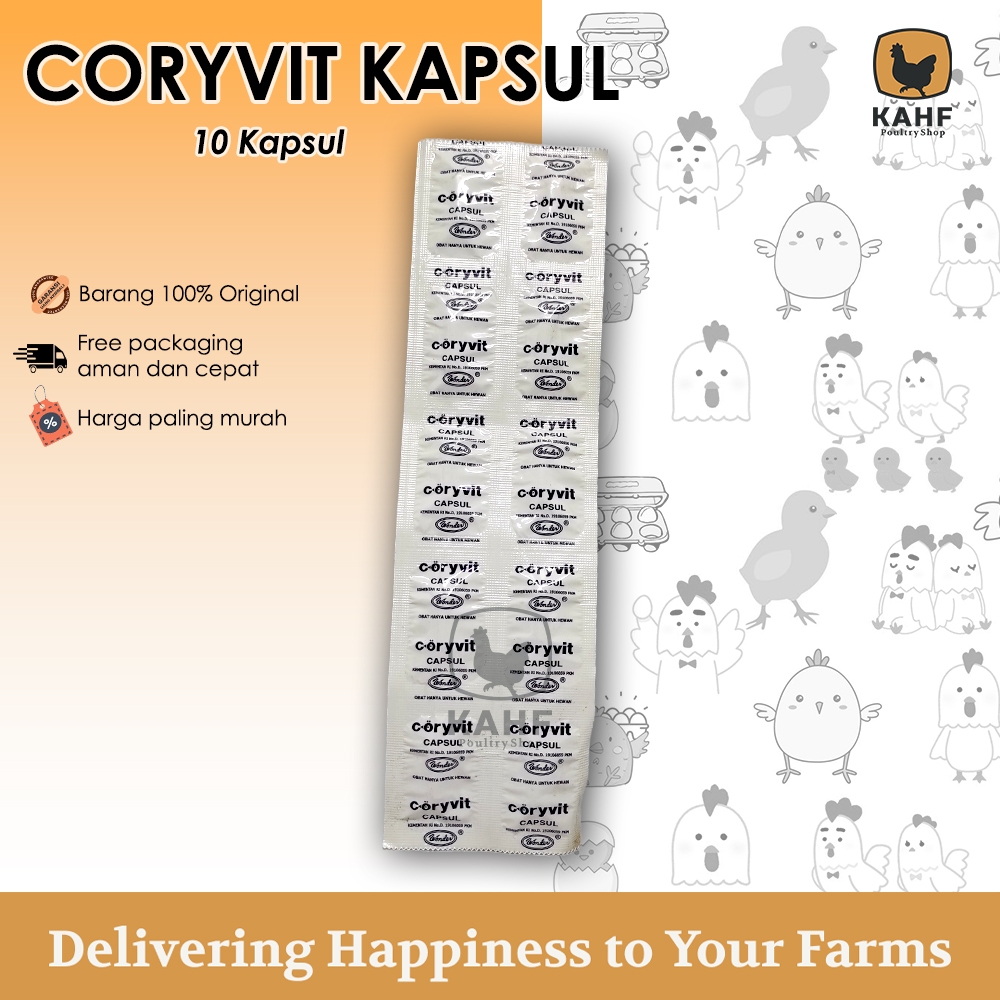 Coryvit 10 Kapsul Obat Burung Lovebird Ngorok Antibiotik Snot Kenari Ayam [KAHF PS]
