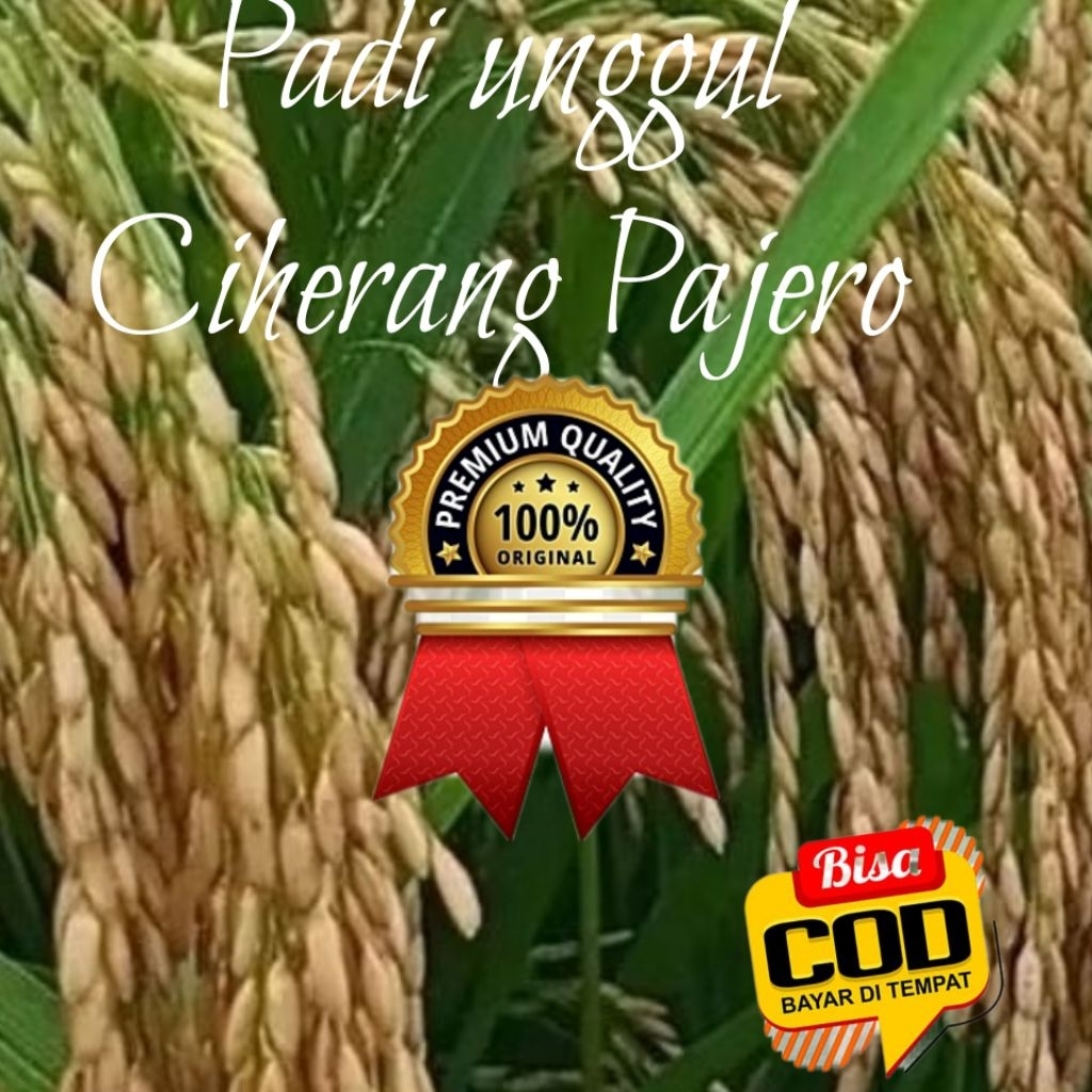 benih padi Ciherang Pajero kemasan 5kg