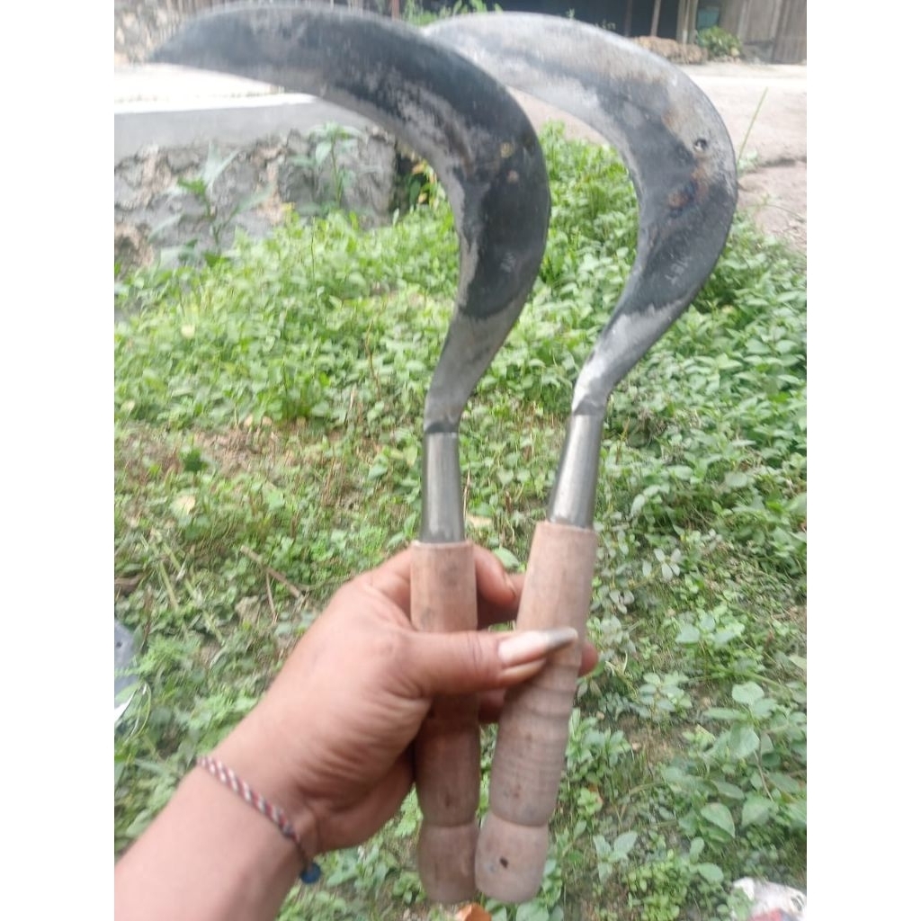 alat berkebun sabit rumput bahan berkualitas