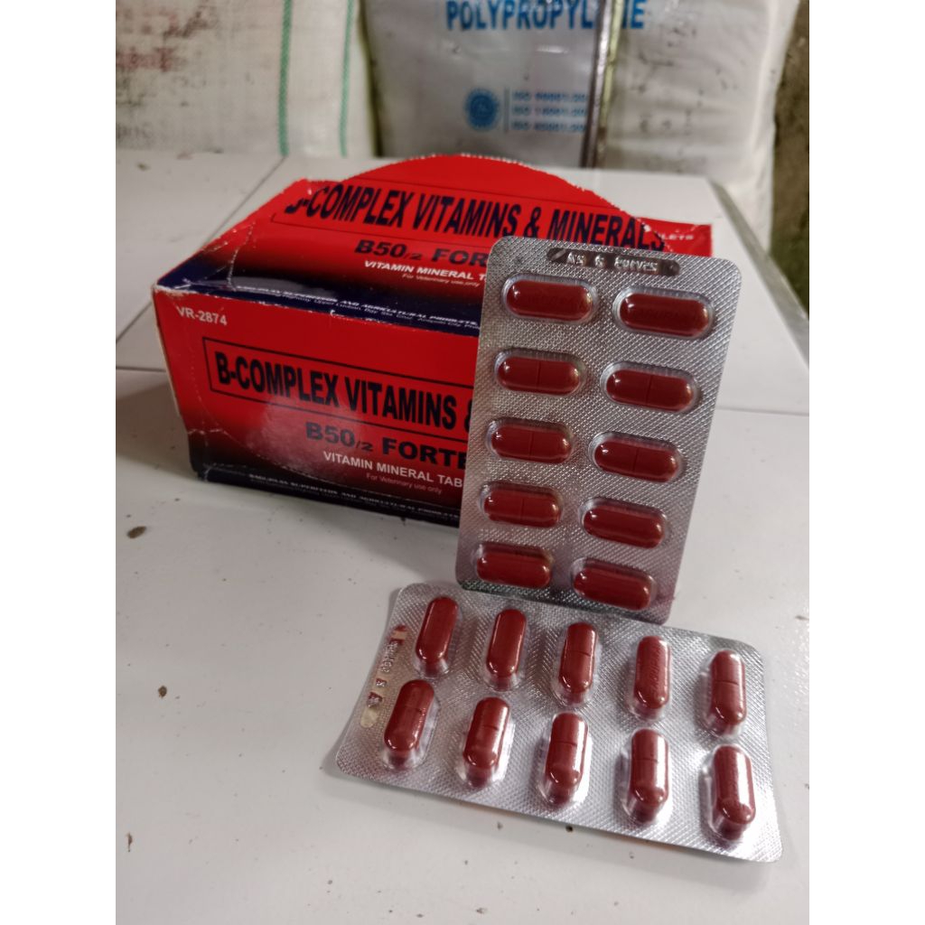 B50 FORTEN Vitamin Mineral Ayam