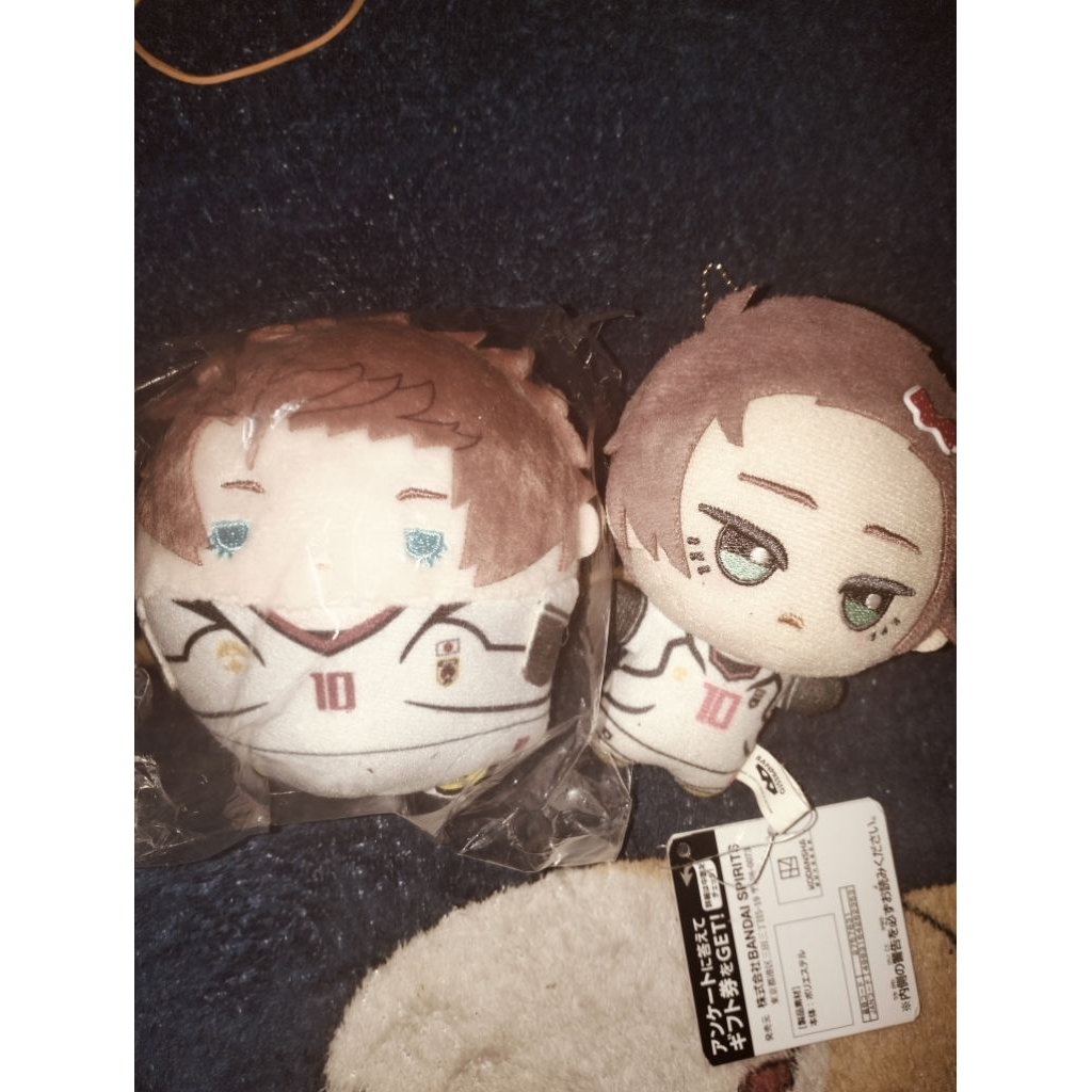 (LINK SATUAN) Sae Fuwakororin With Box