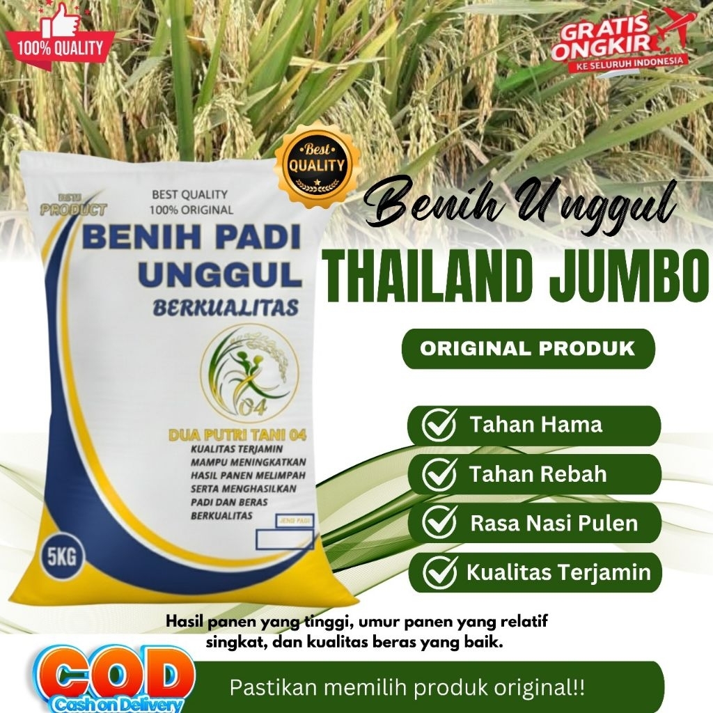 BIBIT PADI THAILAND JUMBO KEMASAN 5KG