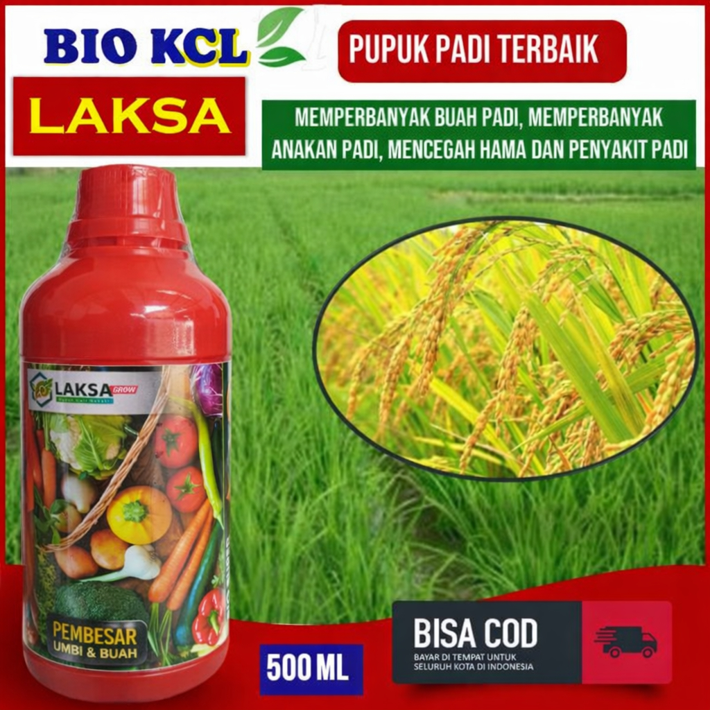 (PELEBAT Padi) Pupuk BIO KCL LAKSA Obat Penambah Bobot Padi Panen Lebih Banyak - Pupuk KCL Cair Pele