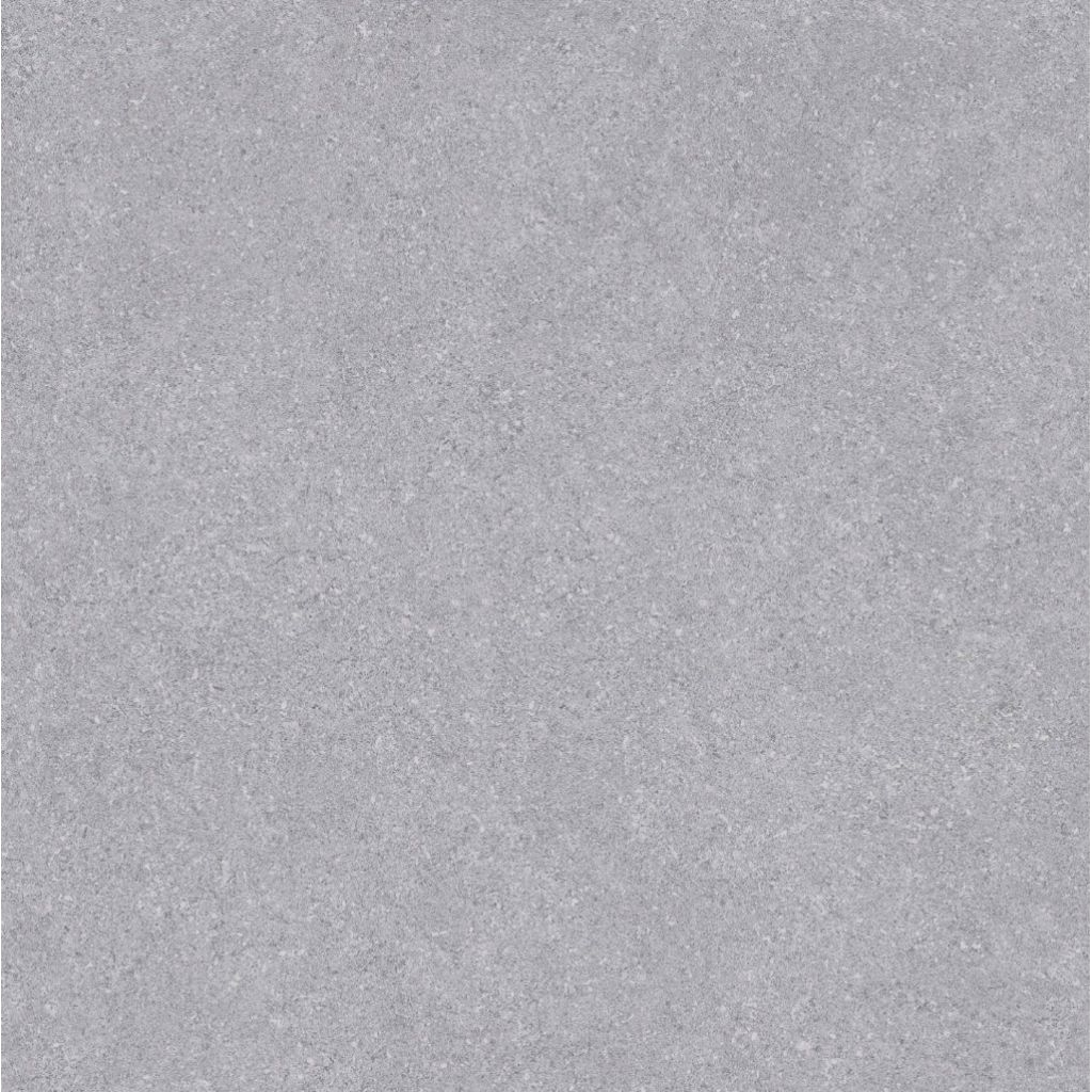 Granite 60x60 Arna Arienta Grey | Matt