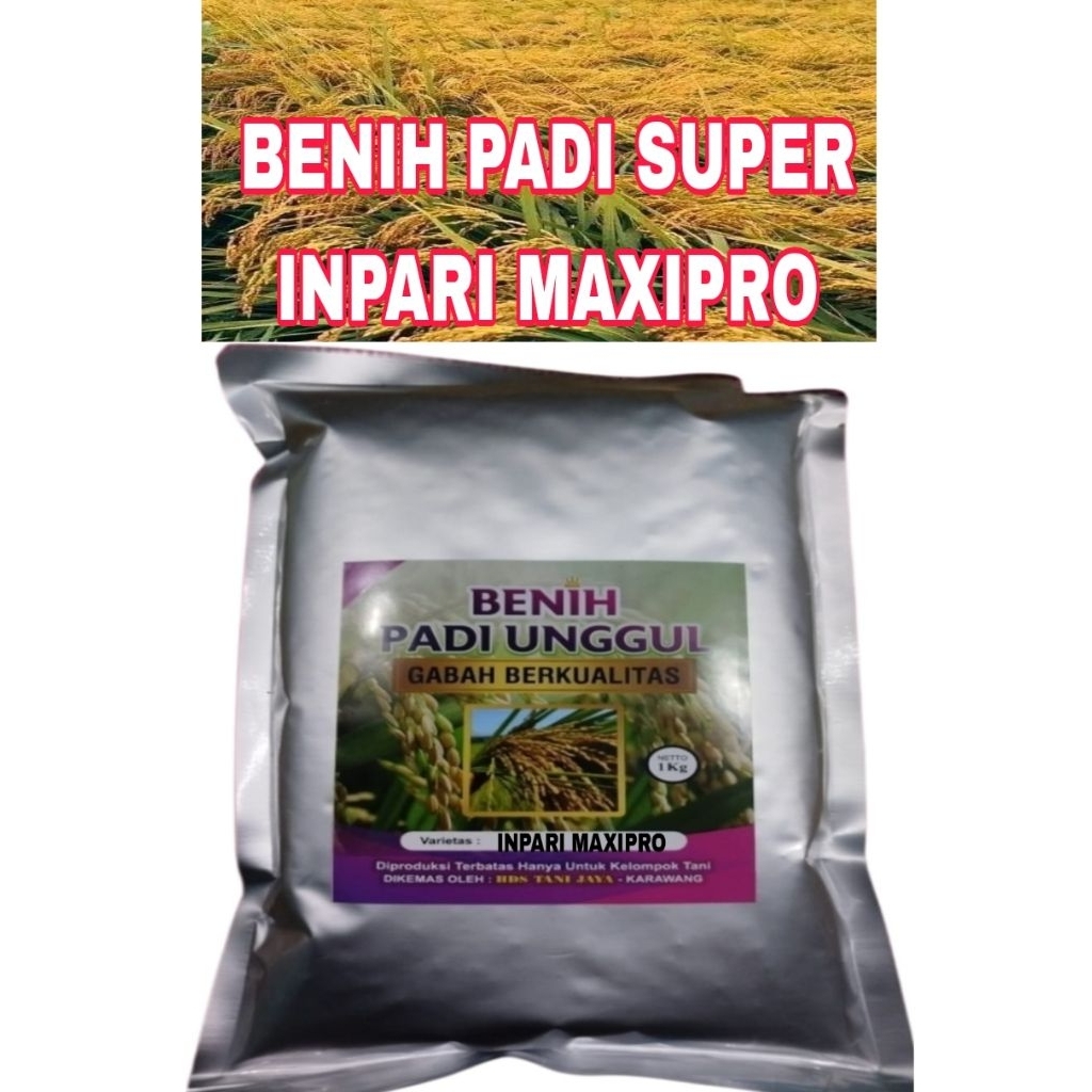 BENIH PADI 1KG INPARI MAXIPRO ORIGINAL LABEL PUTIH