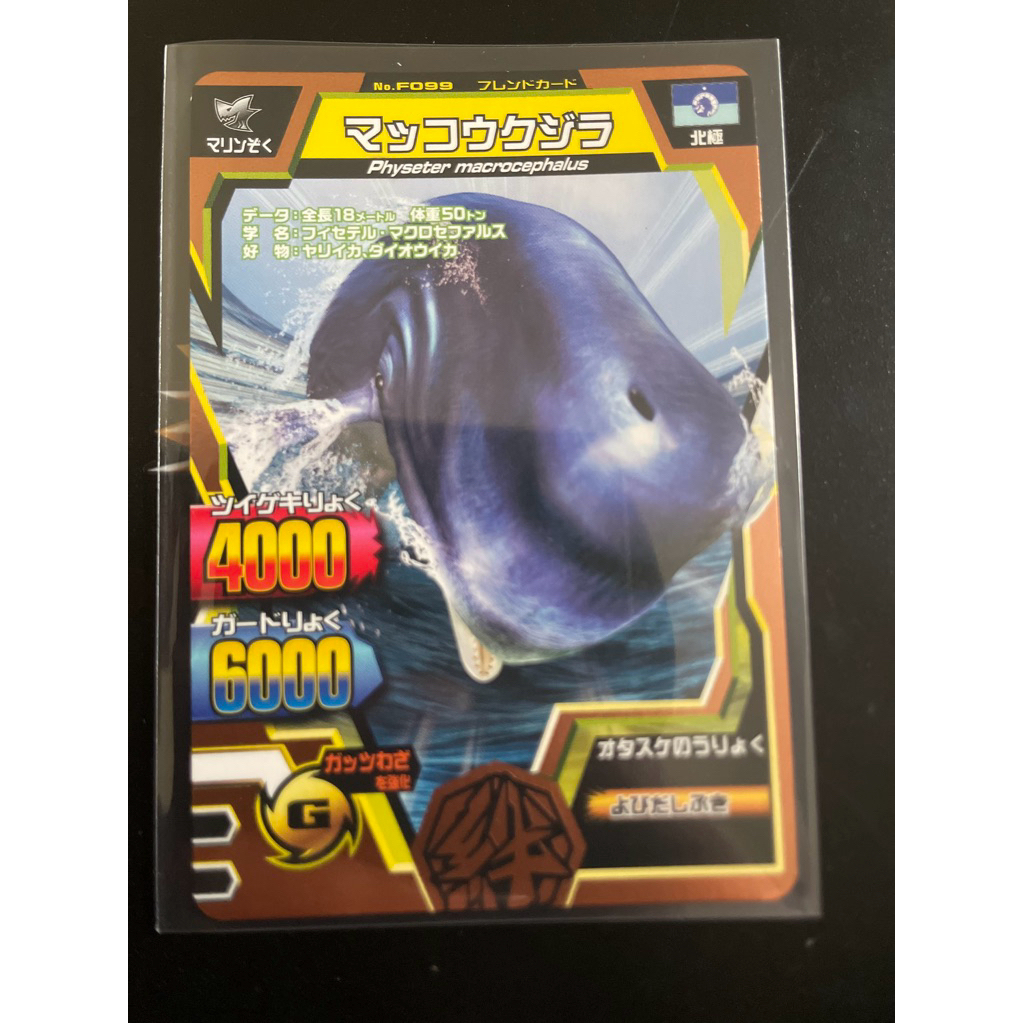 sperm whale friend card animal kaiser