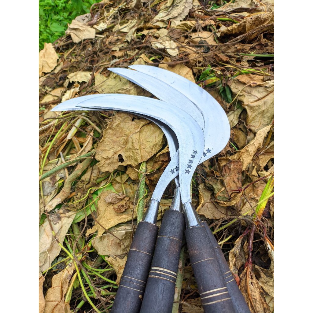 peralatan berkebun arit rumput sabit padi original bintang lima