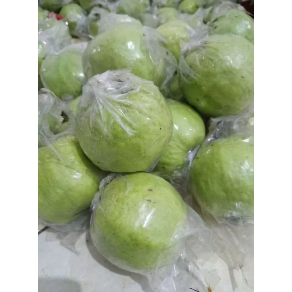 Jambu Kristal Tanpa Biji,  Daging Tebal Renyah