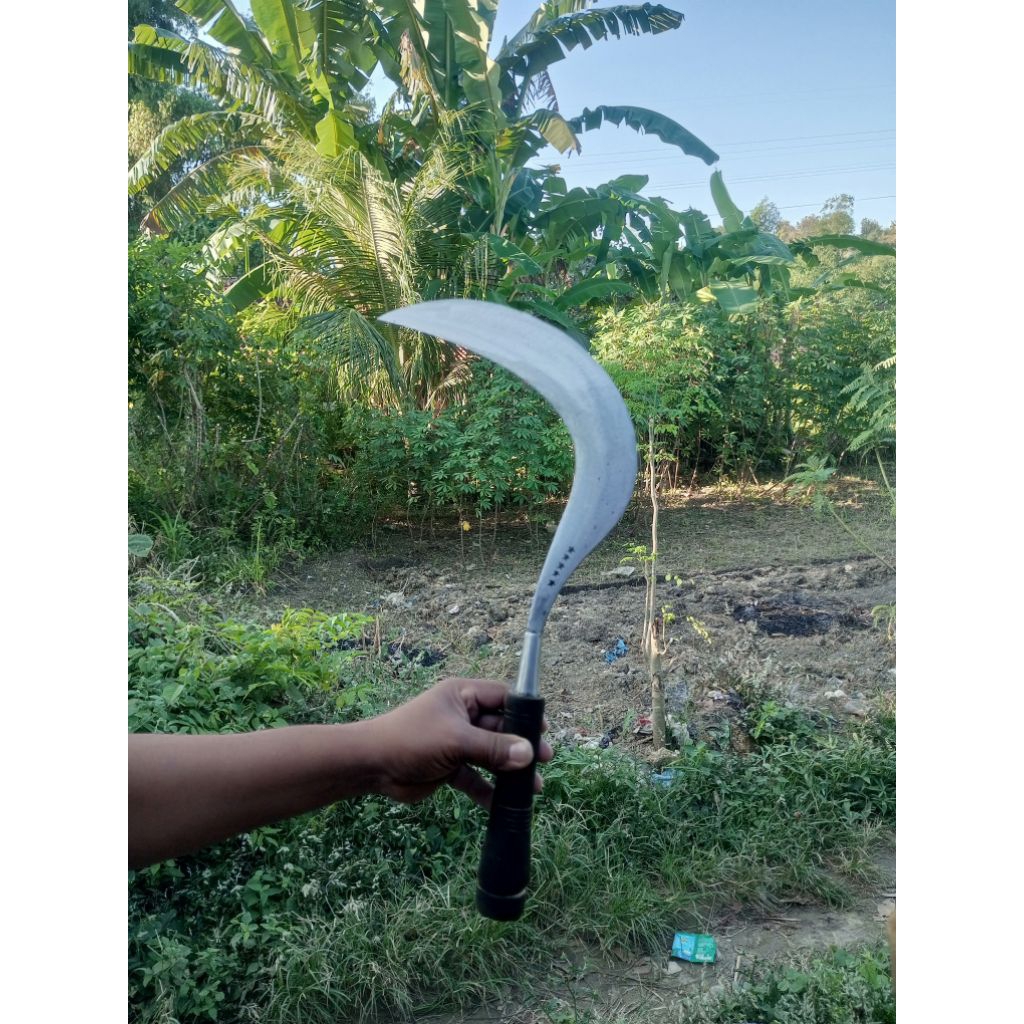 alat pertanian sabit Madura bintang5 0rignal