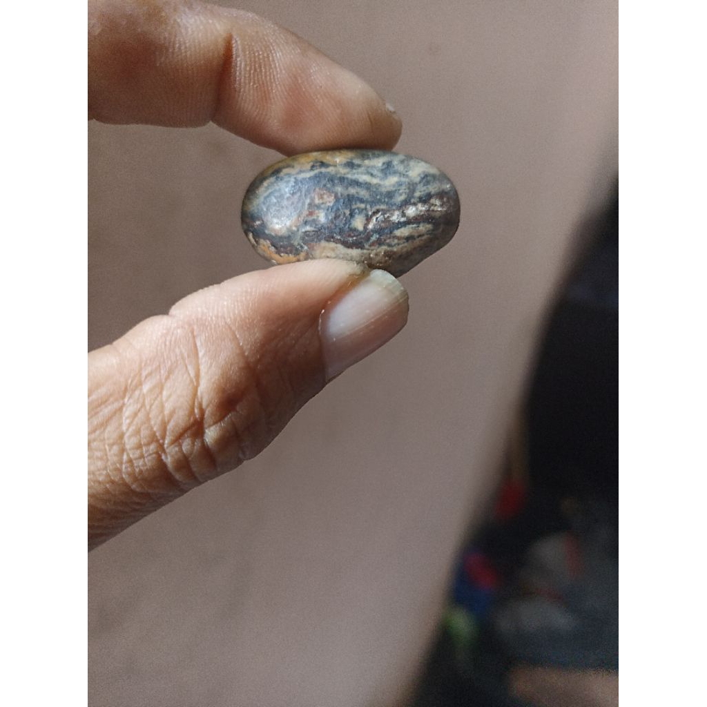 buntat biji nangka