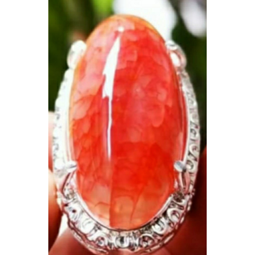 AKIK SISIK NAGA LAMBANG KEWIBAWAAN