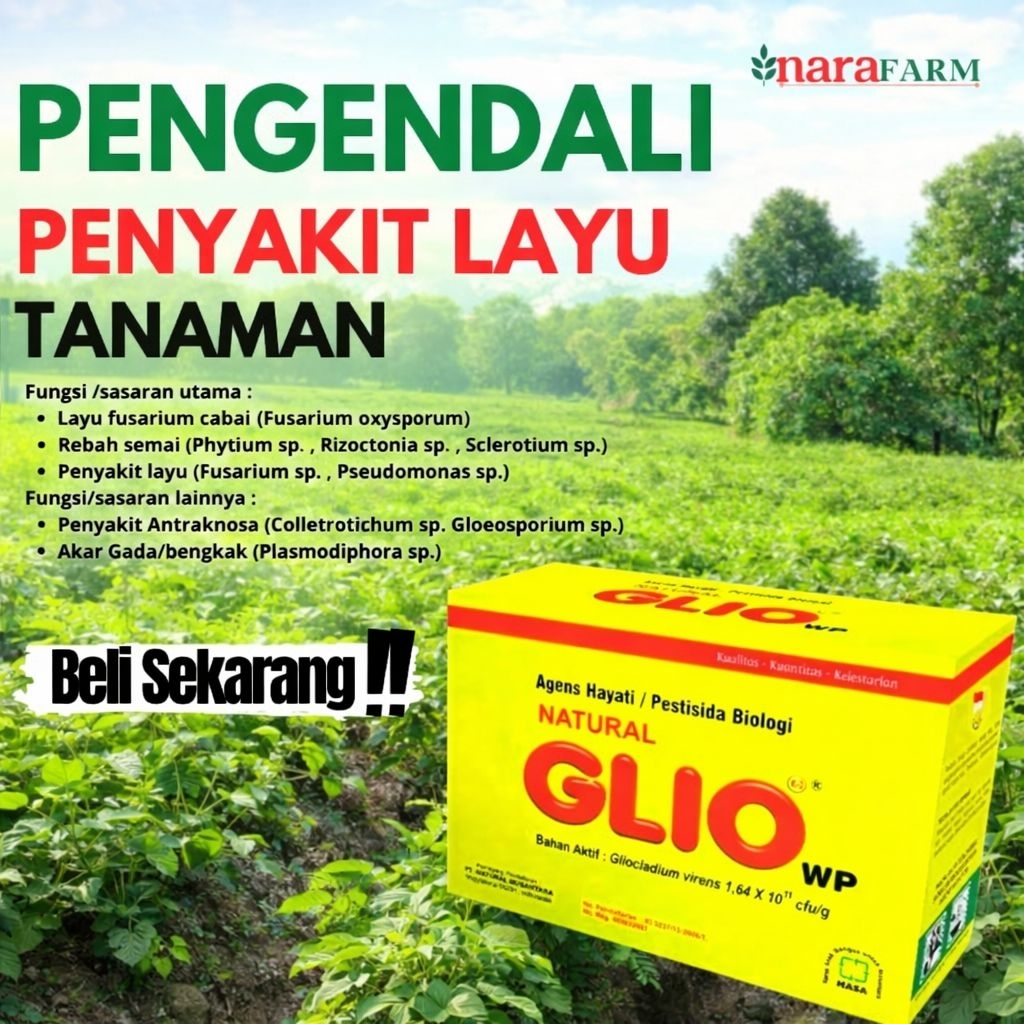 GLIO wp Pengendali Penyakit Layu Tanaman/Pestisida layu fusarium