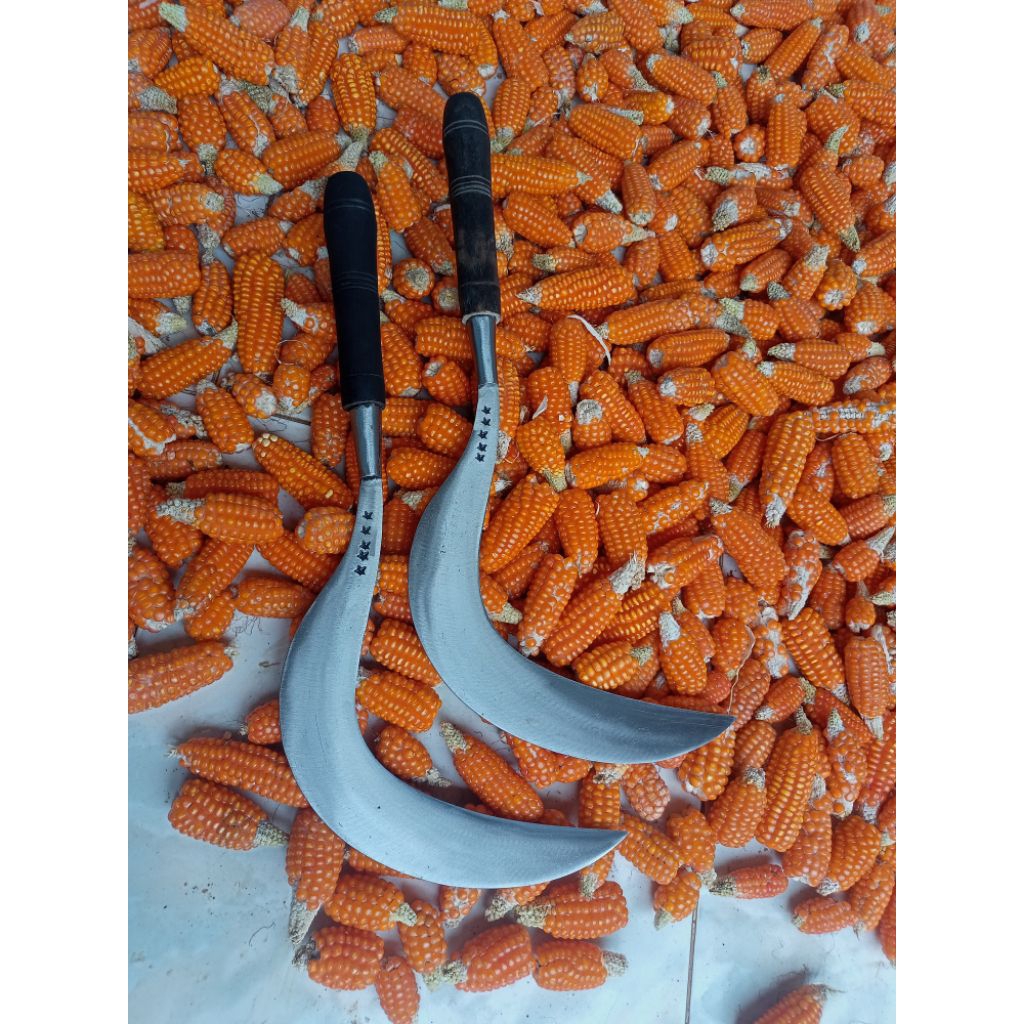 alat pertanian arit rumput ori bintang lima asli baja