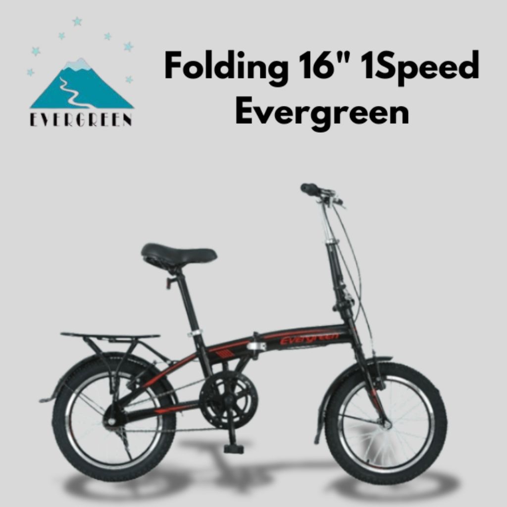 FOLDING 16" 1SP EVERGREEN
