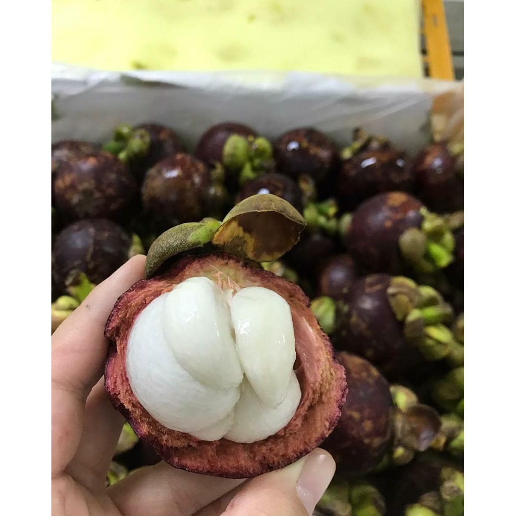 BUAH MANGGIS SEGAR 1KG MURAH, BUAH MANGGIS MANIS SEGAR 1KG MURAH