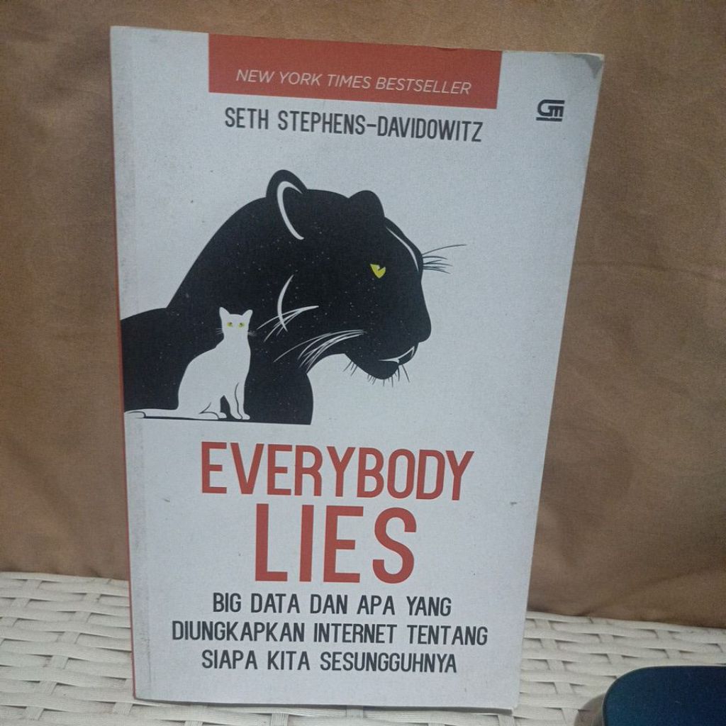 EVERYBODY LIES - SETH STEPHENS - DAVIDOWITZ