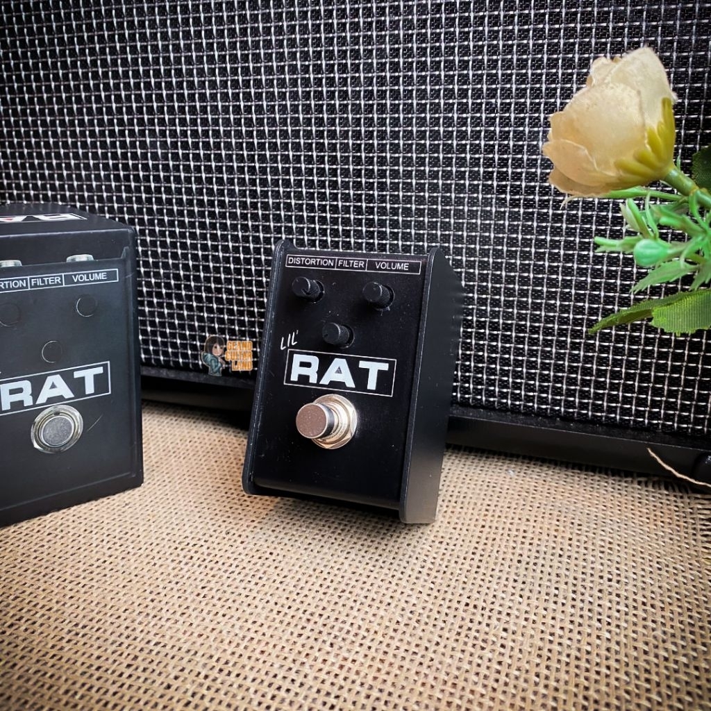 Proco the Lil Rat Distortion