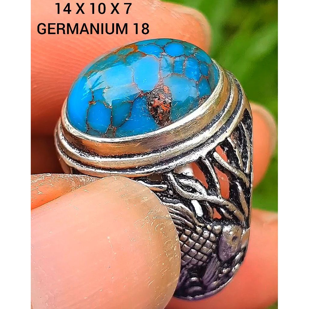pirus mesir lawasan 267