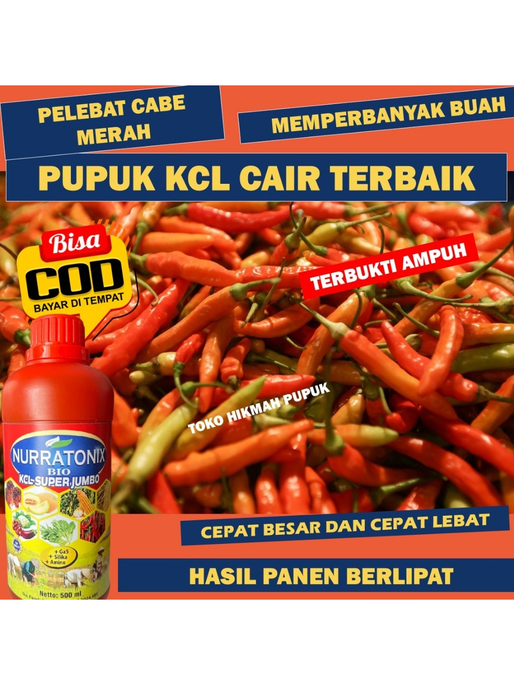 PUPUK CABE RAWIT BIAR CEPAT MERAH TANAMAN SUBUR TIDAK RONTOK KCL GAZA OBAT CABE BIAR CEPAT BESAR