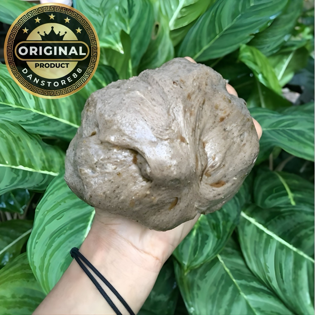 Lem pulut burung super lengket 500gram/setengah kilo, anti zonk, pulut DL ORIGINAL