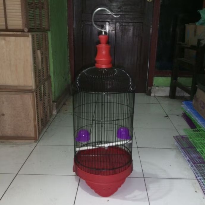 KANDANG BURUNG PLECI BULAT JARING BESI LENGKAP - SANGKAR BURUNG