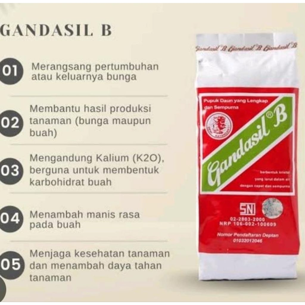 Pupuk Gandasil B 100gr - Gandasil B 100gr, Gandasil B 100gr, Gandasil B 100gr pupuk perangsang buah