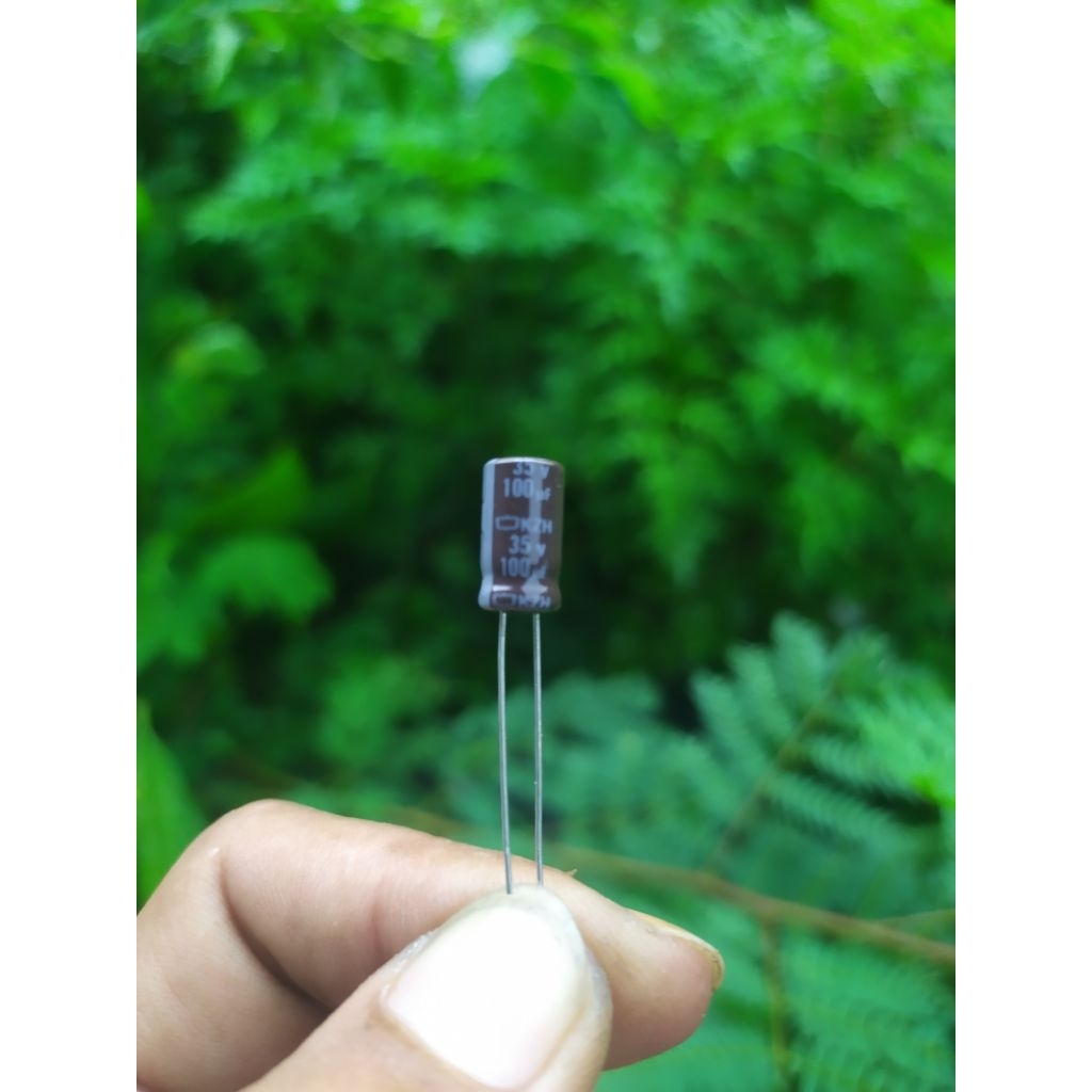 Elco 100uf 35v