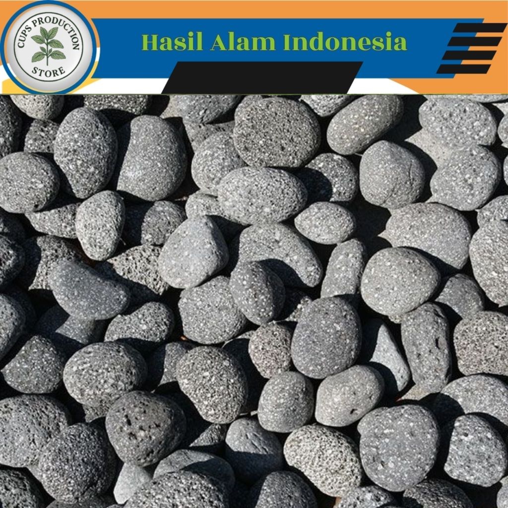 BATU KALI CORAL HITAM 1 Kg Batu Kecil Penghias Aquascape