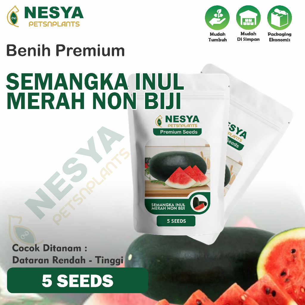 5 Benih Semangka Inul Merah NON Biji Benih Biji Buah Semangka Inul Merah Tanpa Biji