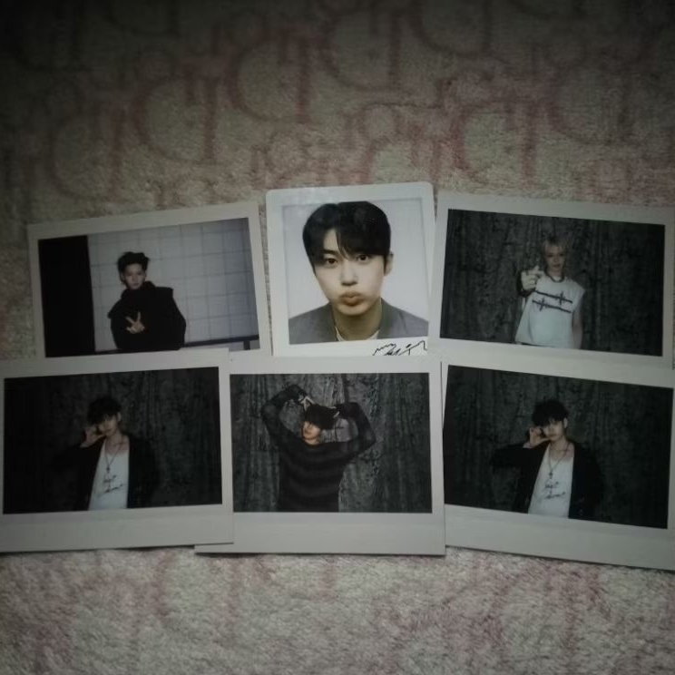 POLAROID,(treasure) official