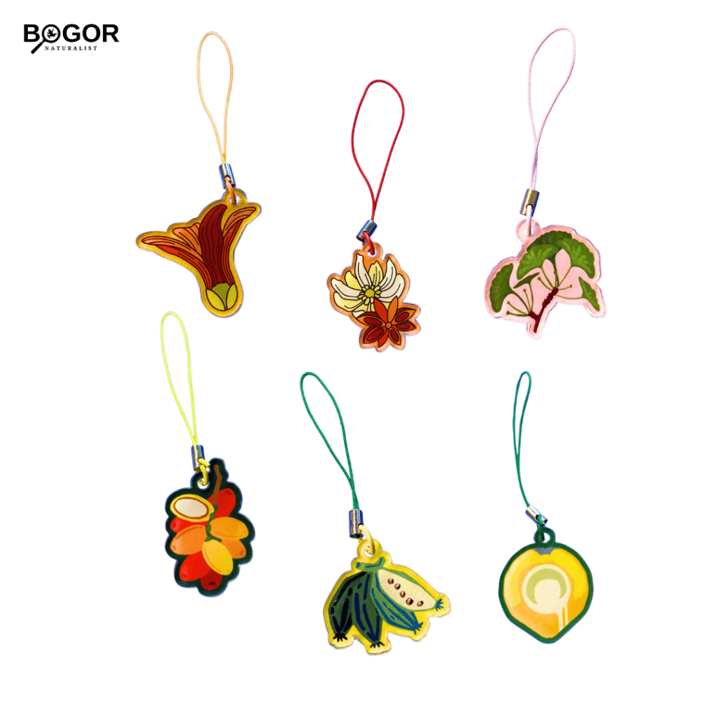 Charm akrilik - Species Obscura