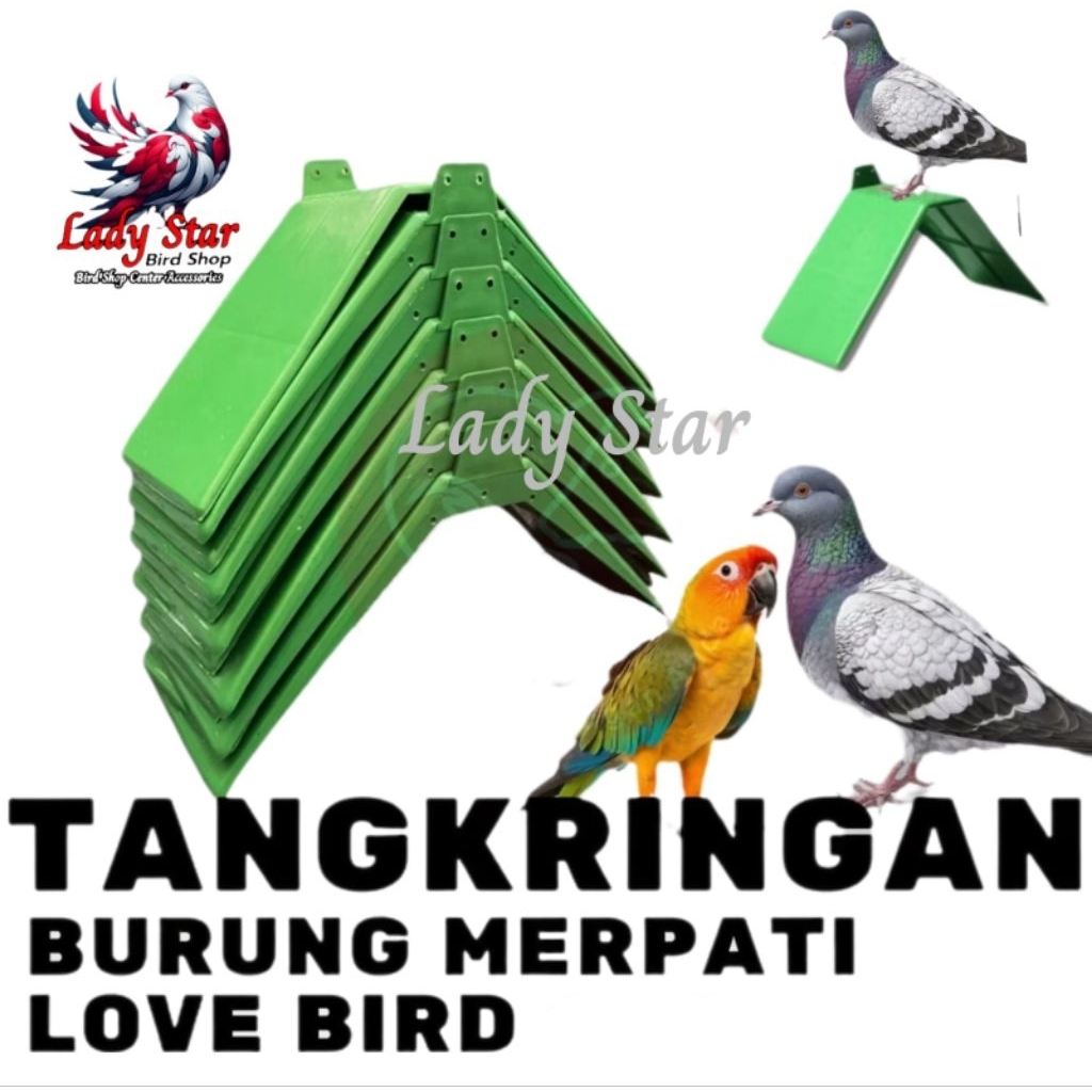 Tangkringan Burung Merpati / Tangkringan Merpati Pos Murai Love Bird Tenggeran Burung Merpati