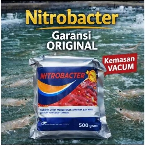 Nitrobacter 500 gram Probiotik Kolam KOI dan Bioflok