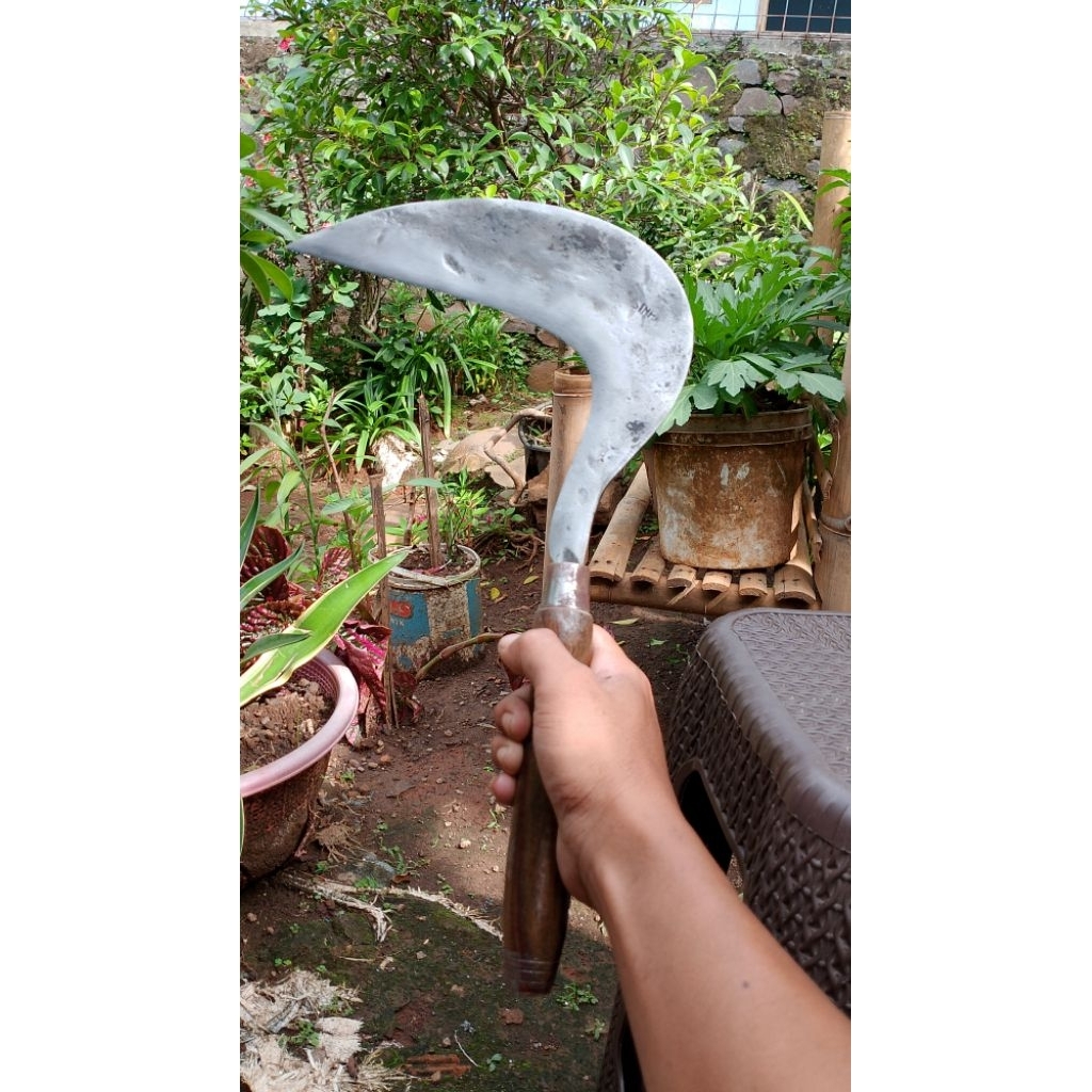 Sabit/Arit Baja Sipuhan Khusus Rumput Cap Sinar Gaet  Gagang Sonokeling