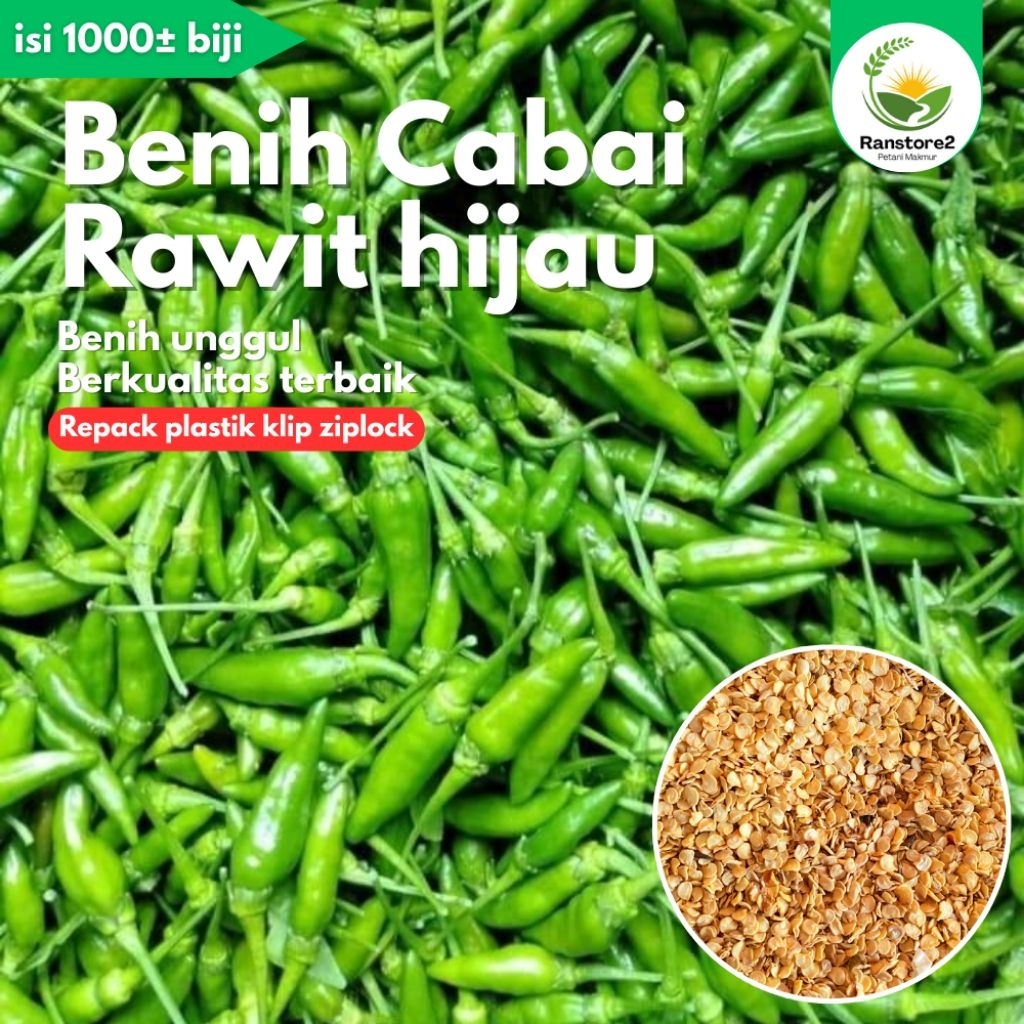 (1000±) biji benih cabai rawit hijau cabe rawit ijo