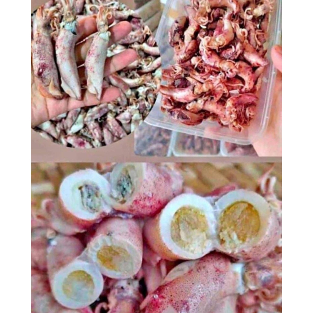 Baby cumi ngendok/ cumi asin/ cumi bertelor