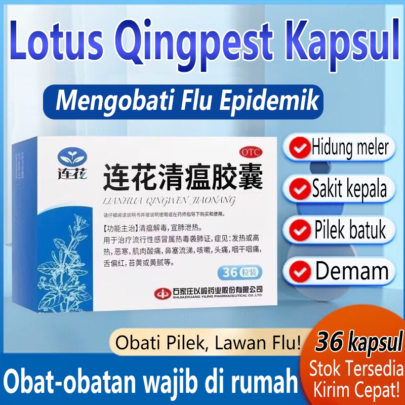 lianhua qingwen capsules 36 kapsul untuk mengobati gejala seperti batuk, sakit tenggorokan, pilek, d