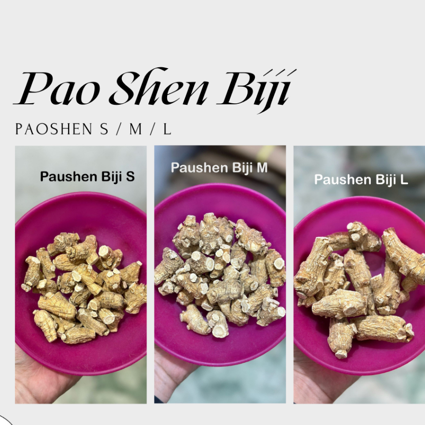 Pao shen biji / Pao shen utuh / Yo som pian / Ginseng / Pao shen belom potong / Whole ginseng / Amer