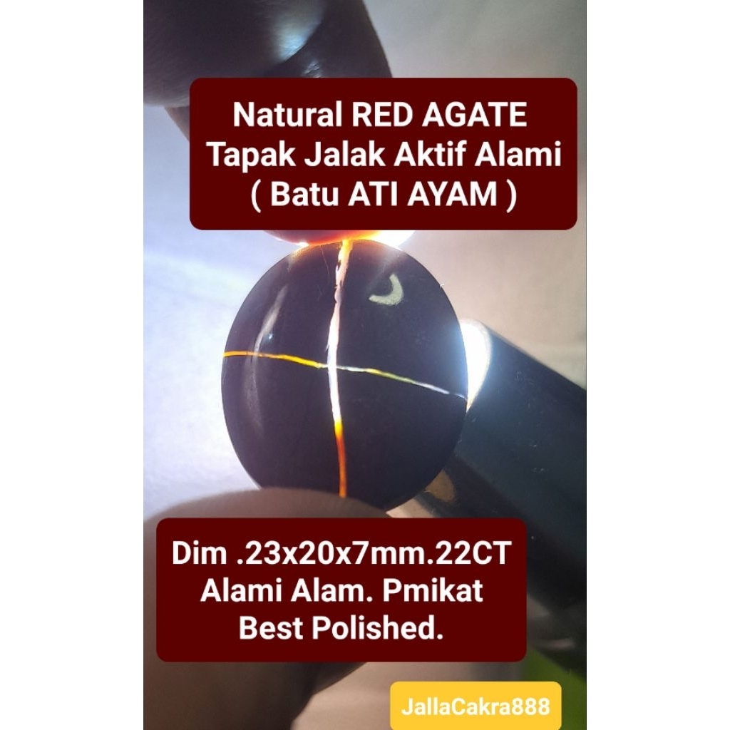 Batu Natural TAPAK JALAK  RED AGATE ATI AYAM Aktif Alami No Treated Batu Motif TJ untuk Cincin Pmkat